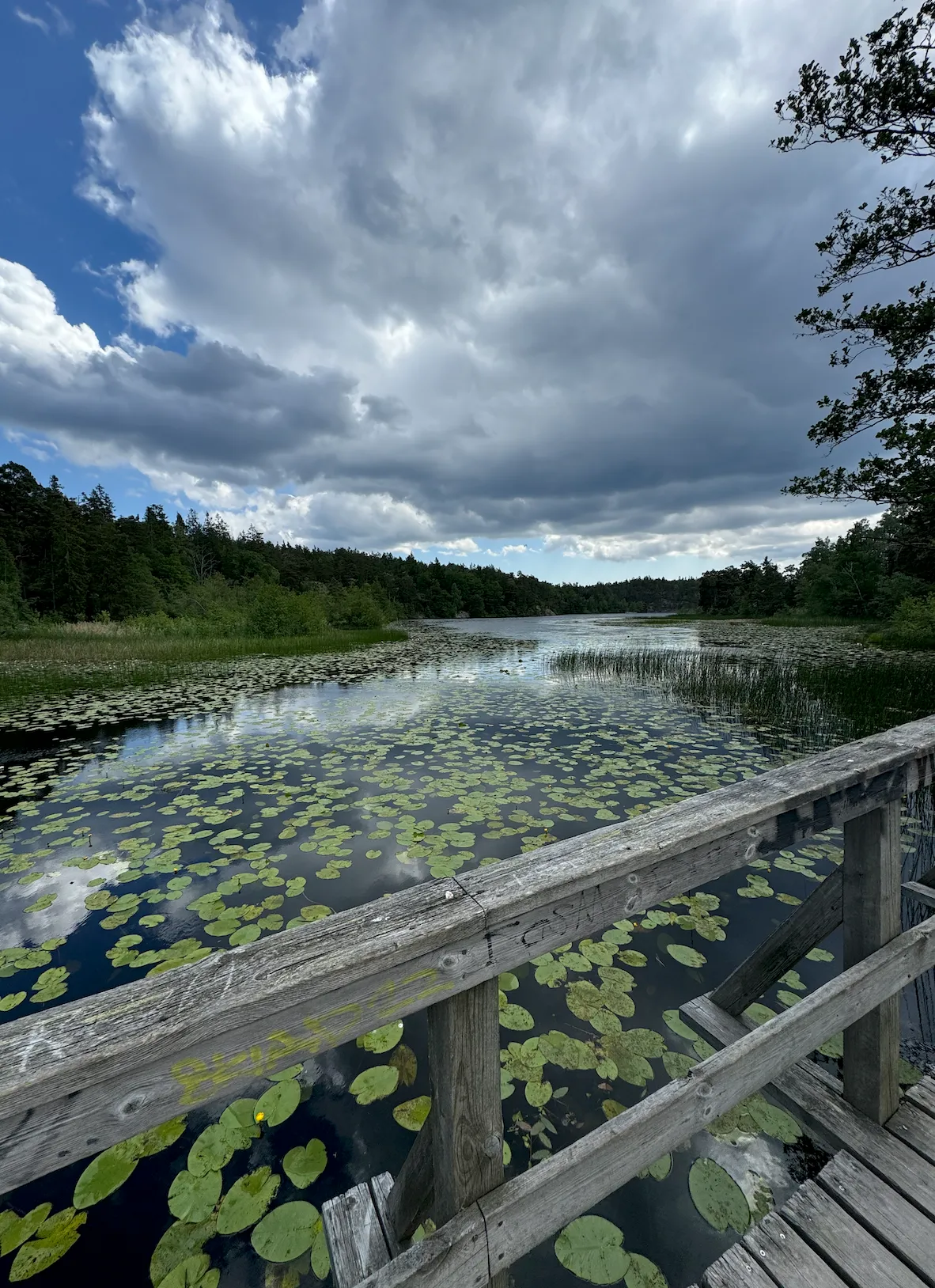 Hyreslägenhet på Enskededalen i enskededalen