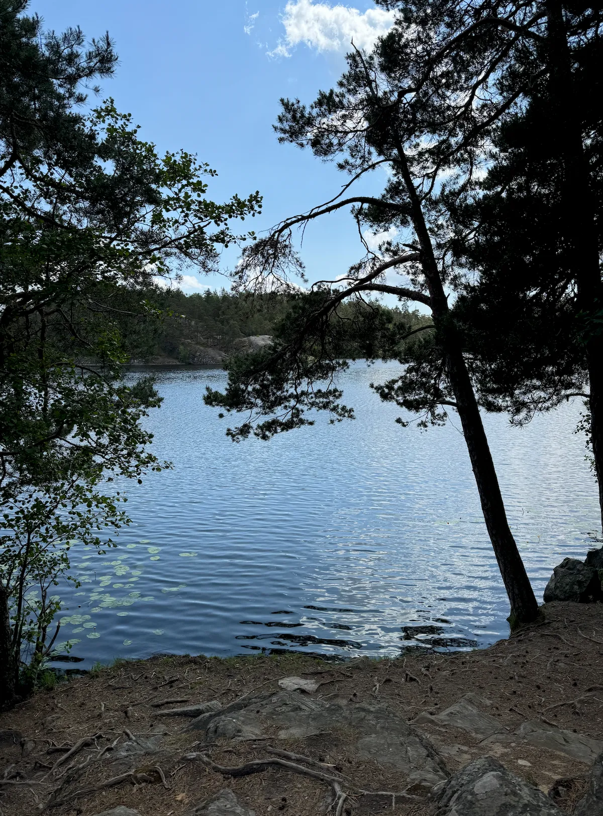 Hyreslägenhet på Enskededalen i enskededalen