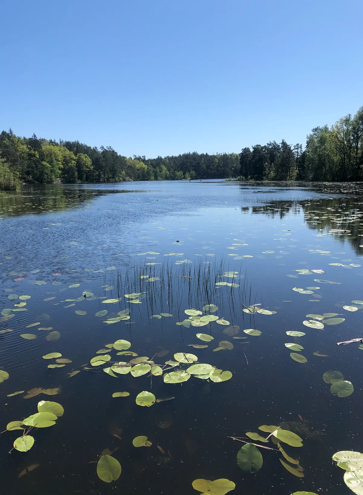 Hyreslägenhet på Enskededalen i enskededalen