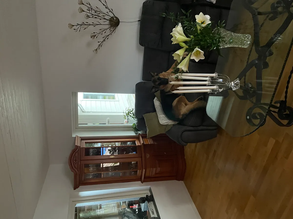 Hyreslägenhet på Varberg i varberg