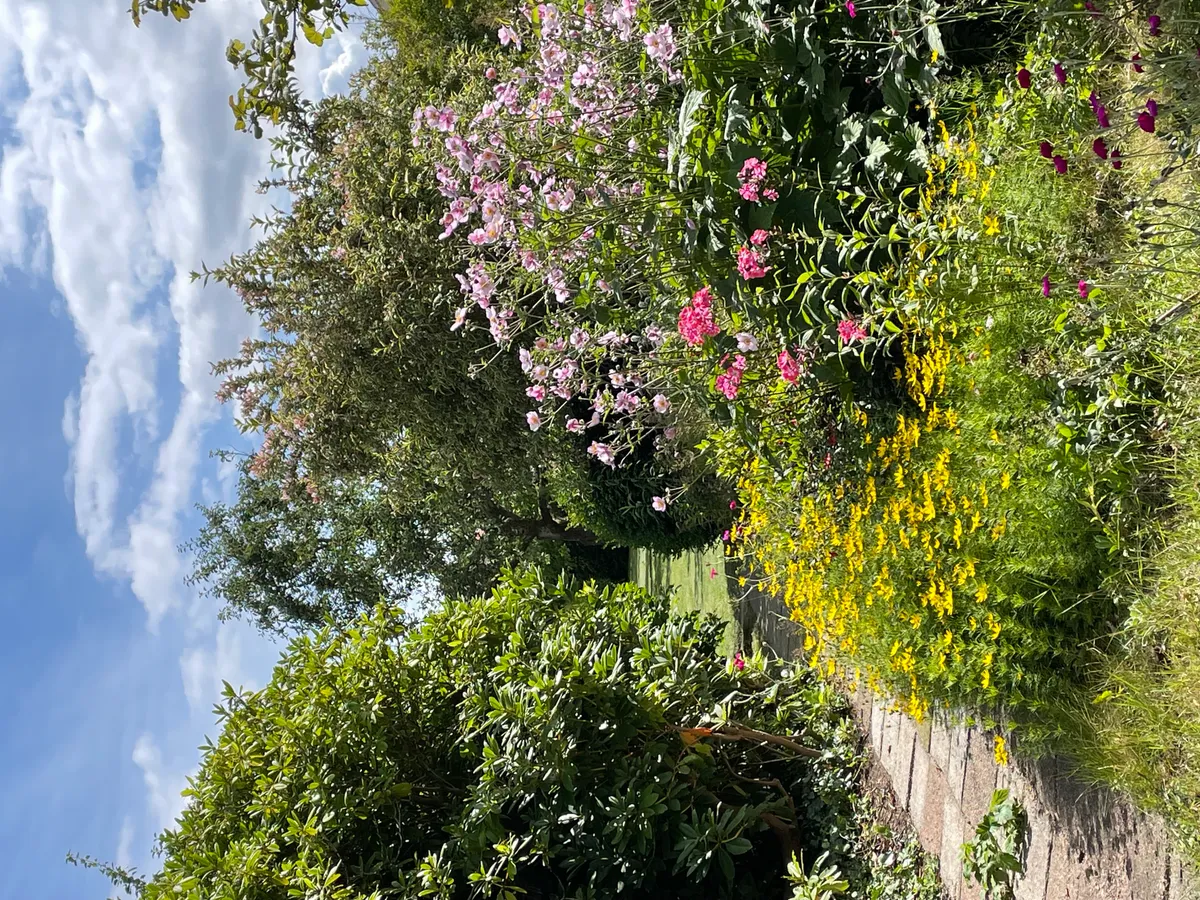 Hyresbostad på Helsingborg i helsingborg