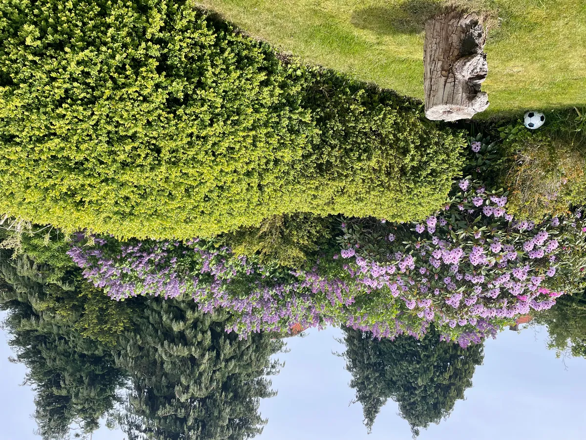 Hyresbostad på Helsingborg i helsingborg