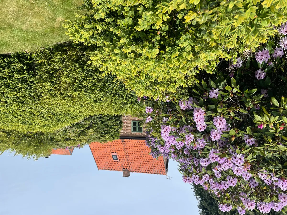 Hyresbostad på Helsingborg i helsingborg