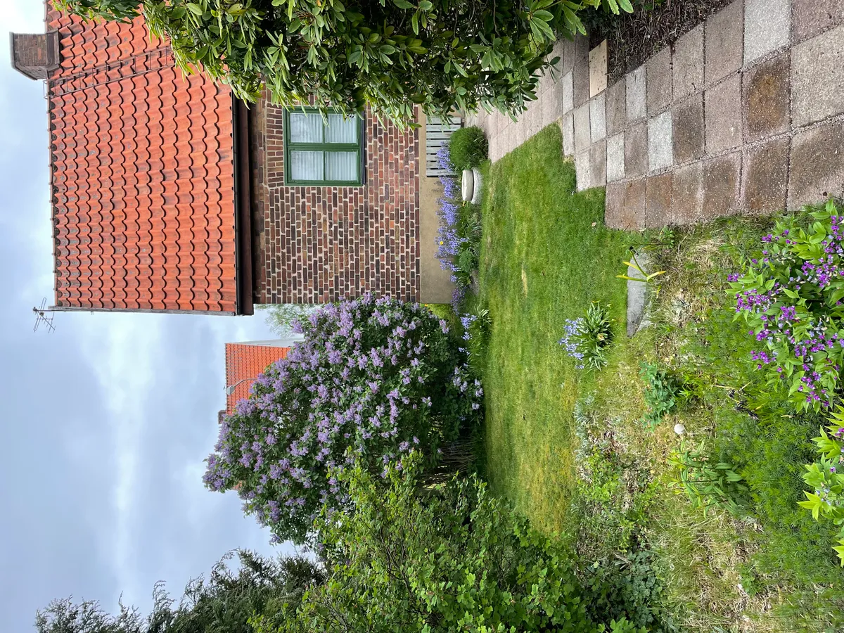 Hyresbostad på Helsingborg i helsingborg