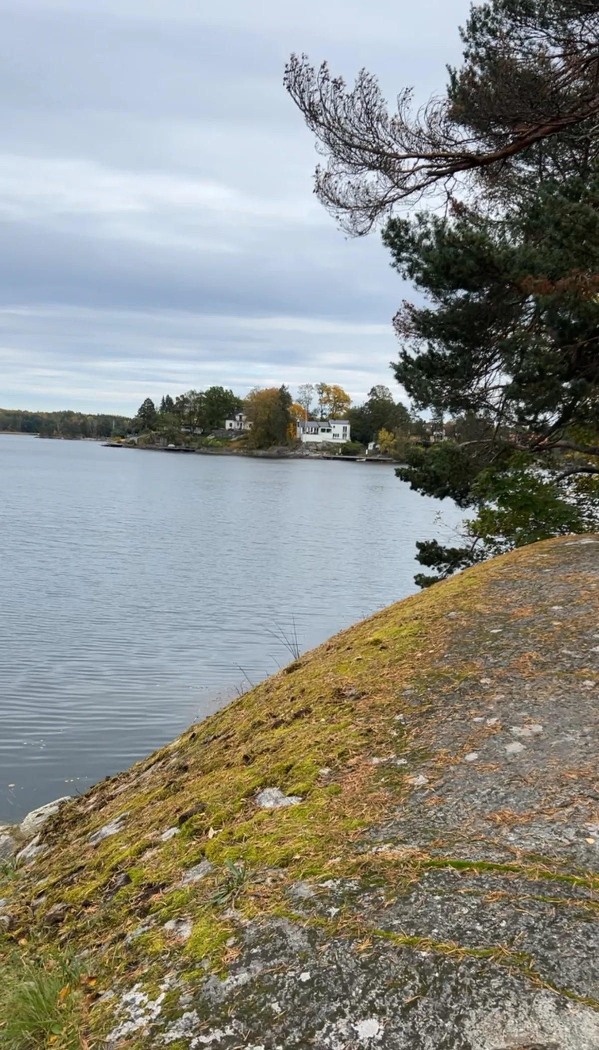 Hyreslägenhet på Farsta i farsta