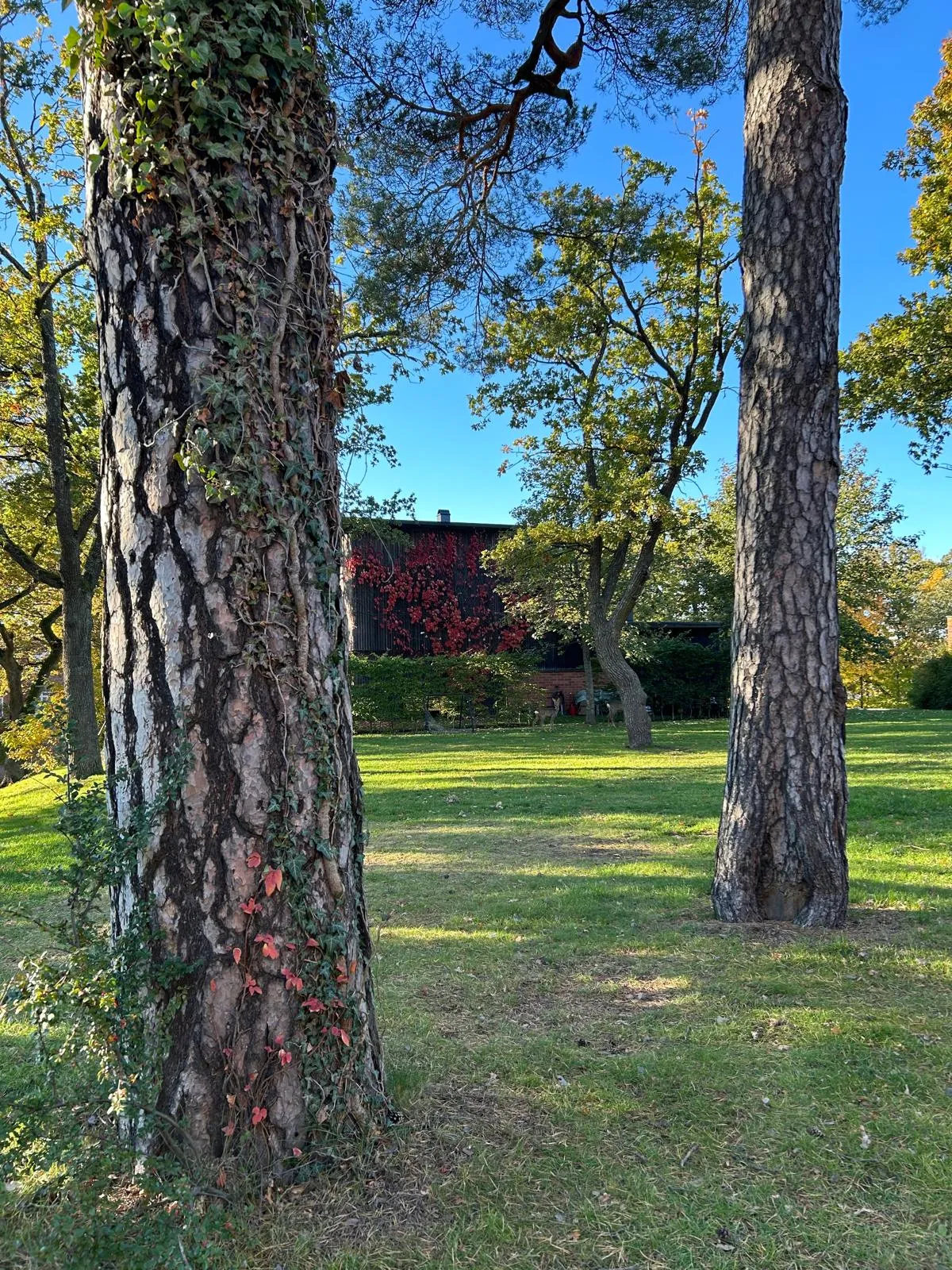 Hyresbostad på Stockholm i stockholm