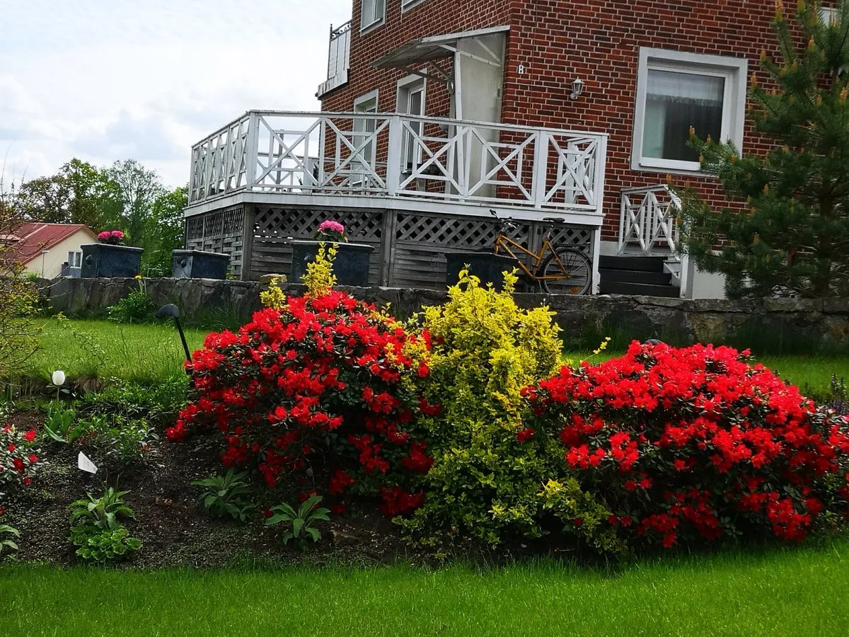 Hyreslägenhet på Tyringe i tyringe