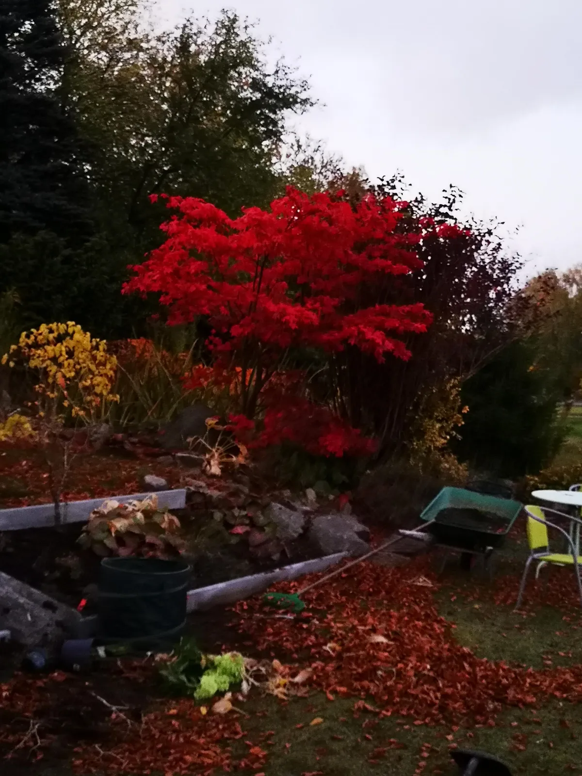 Hyreslägenhet på Tyringe i tyringe