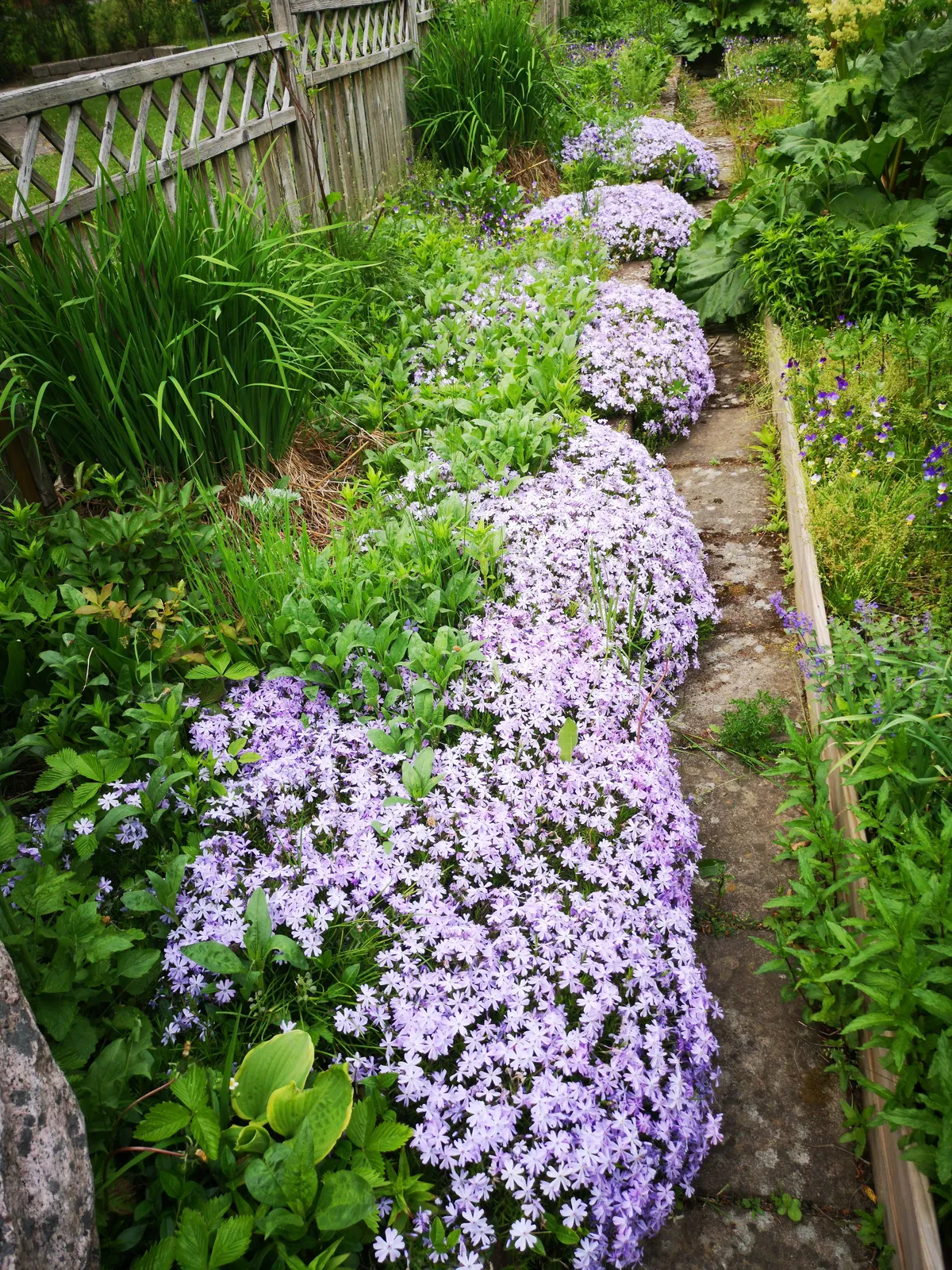 Hyreslägenhet på Tyringe i tyringe