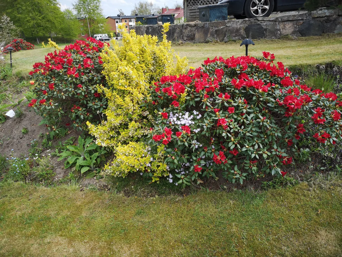 Hyreslägenhet på Tyringe i tyringe