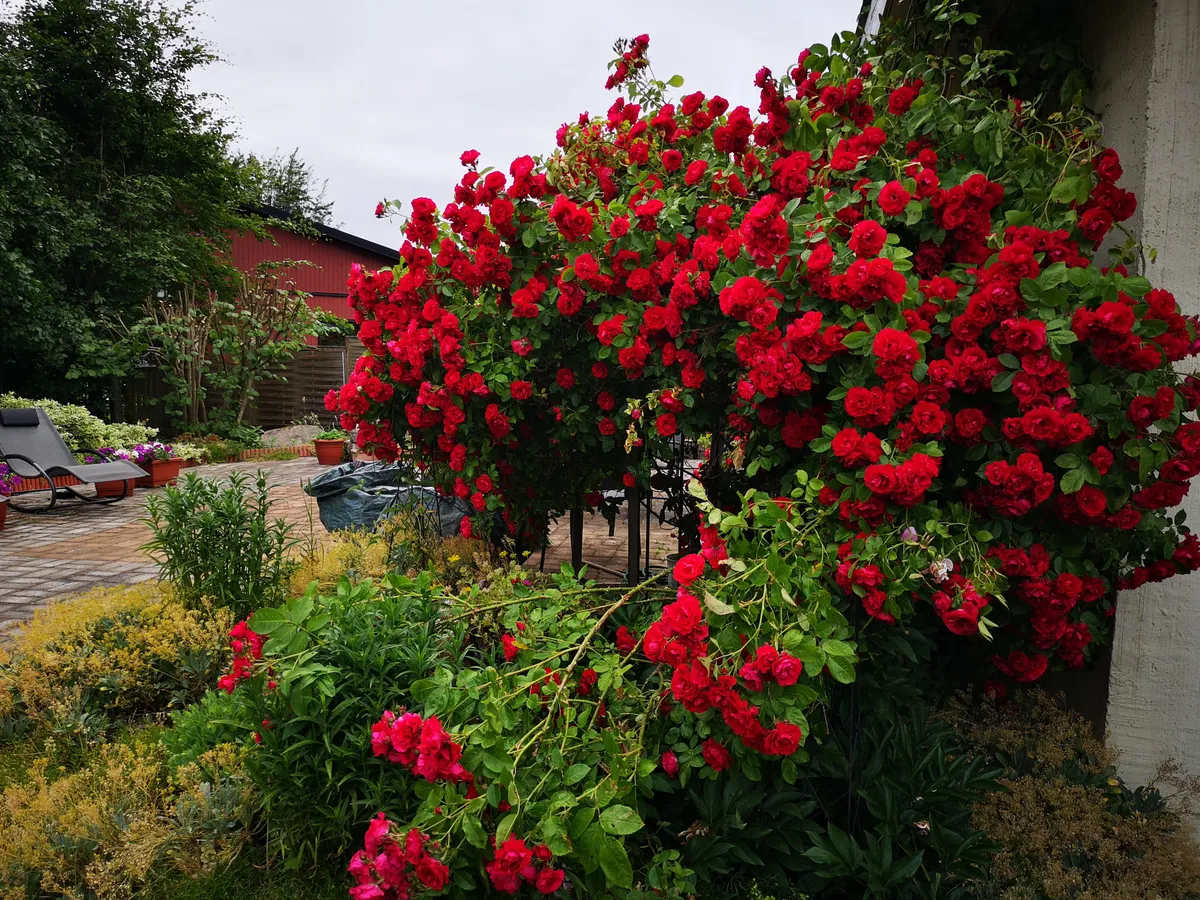 Hyreslägenhet på Tyringe i tyringe