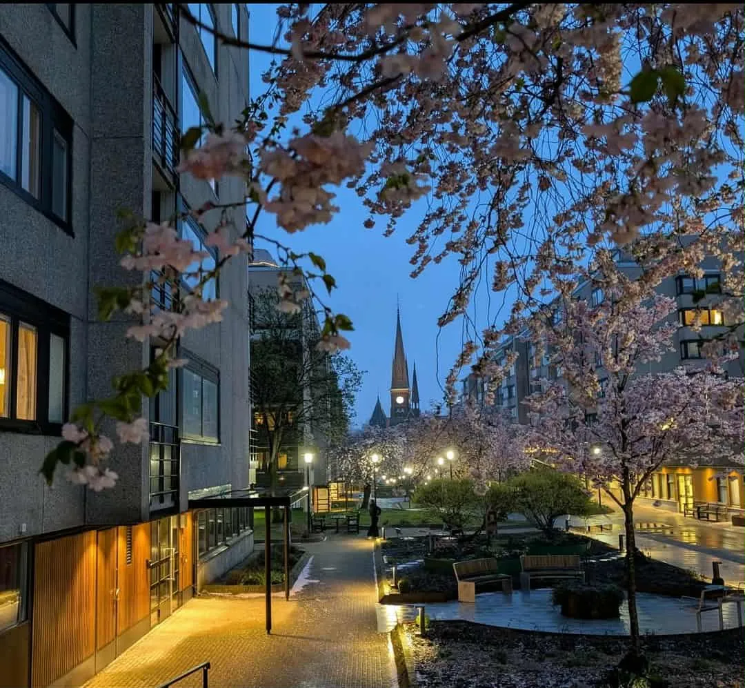 Hyreslägenhet på Göteborg i goteborg