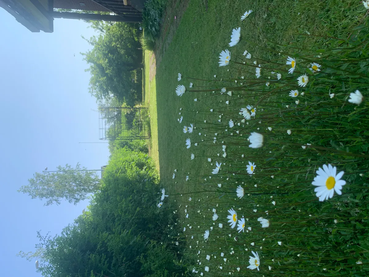 Hyresbostad på Skutskär i skutskar