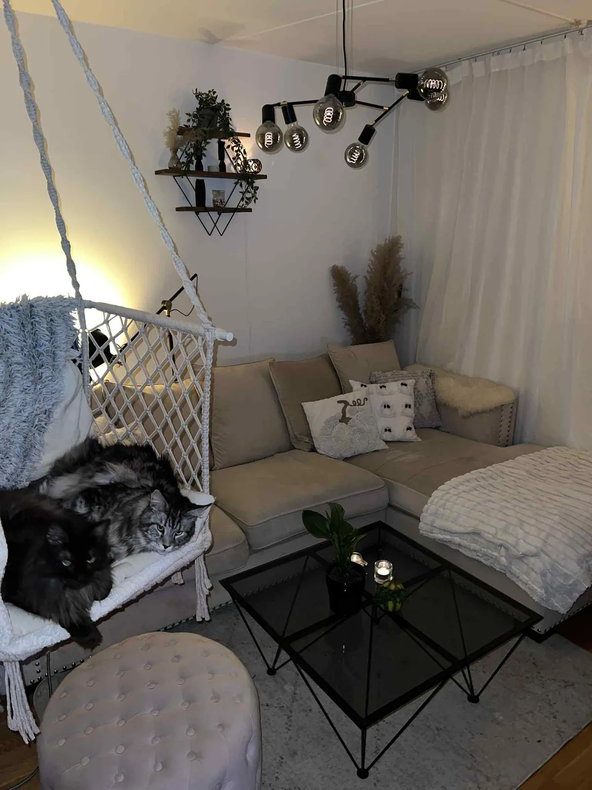 Hyreslägenhet på Malmö i malmo