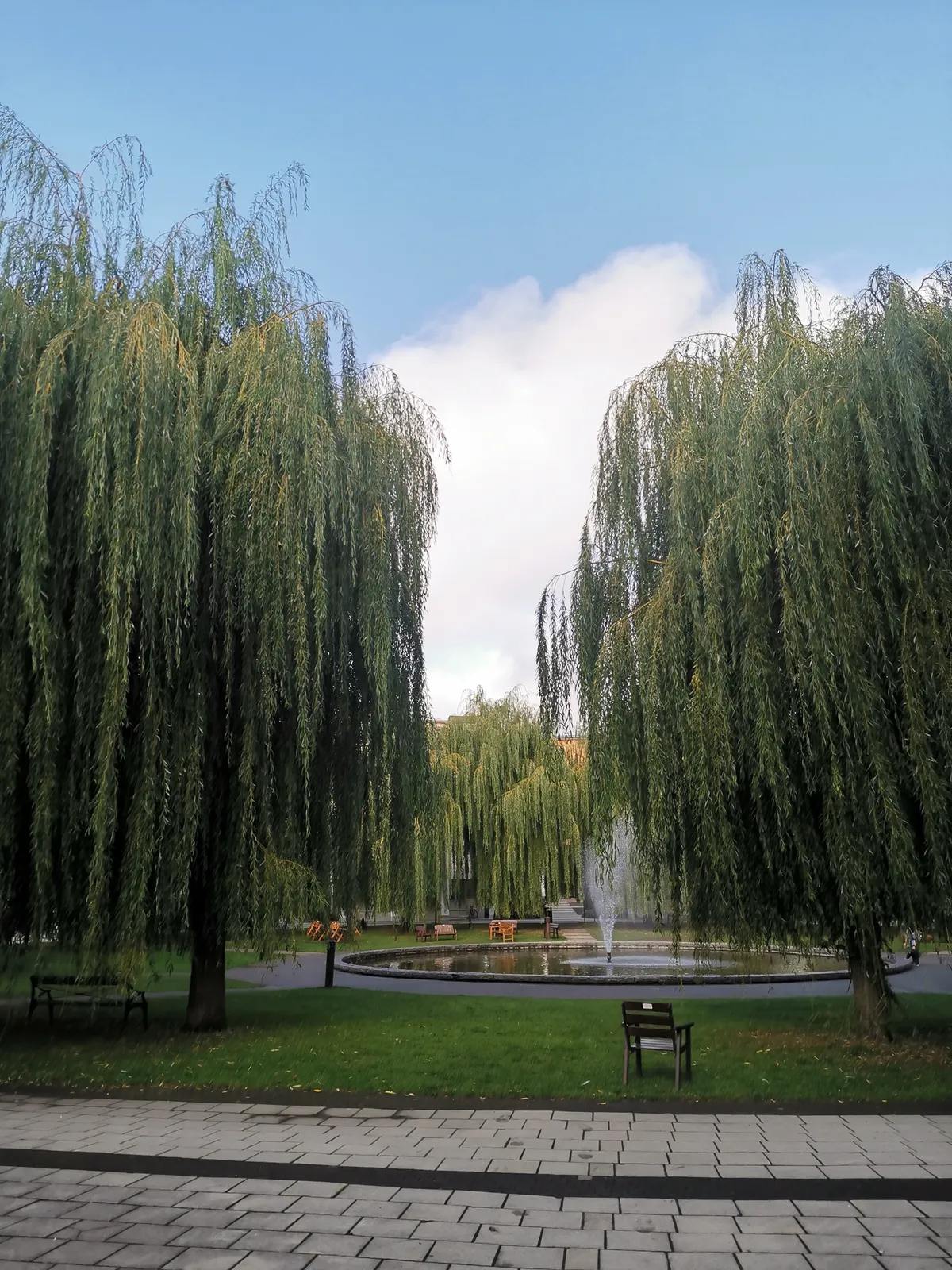 Hyreslägenhet på Stockholm i stockholm