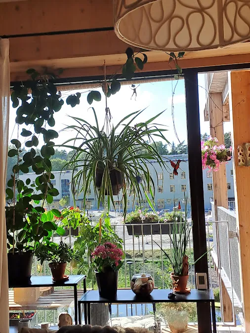 Hyreslägenhet på Uppsala i uppsala