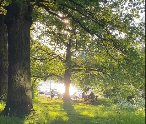 Hyreslägenhet på Stockholm i stockholm