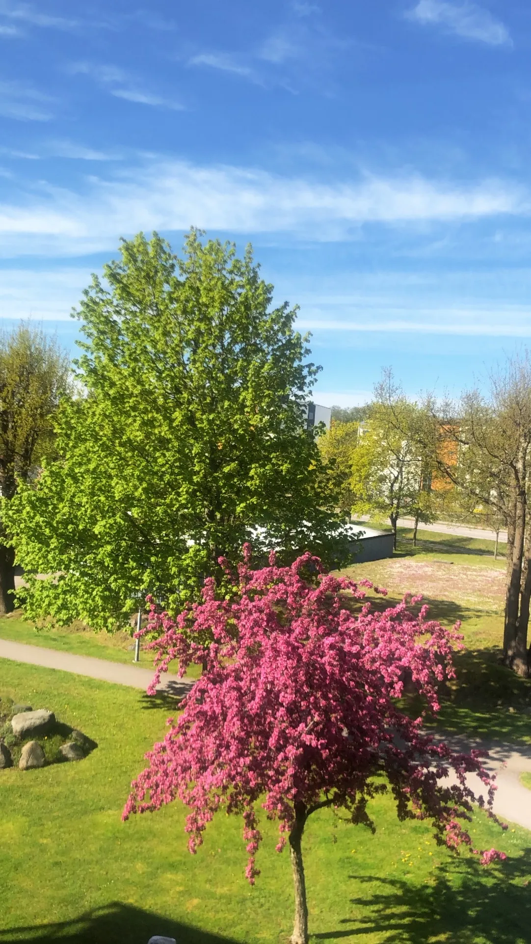 Hyreslägenhet på Kalmar i kalmar