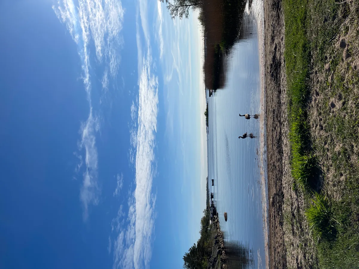 Hyresbostad på Ronneby i ronneby