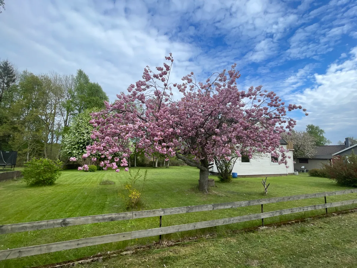 Hyresbostad på Ronneby i ronneby