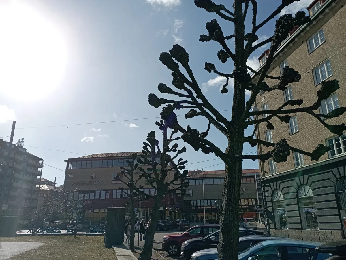 Hyreslägenhet på Göteborg i goteborg