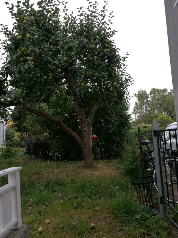 Hyreslägenhet på Bromma i bromma