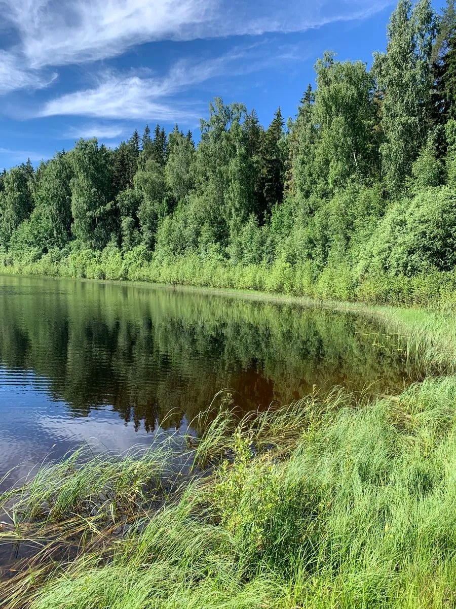 Hyreslägenhet på Hedemora i hedemora