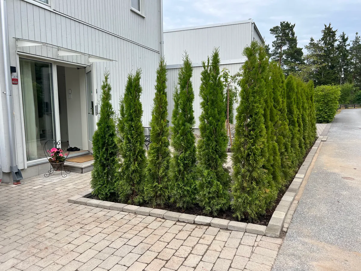 Hyresbostad på Stockholm i stockholm