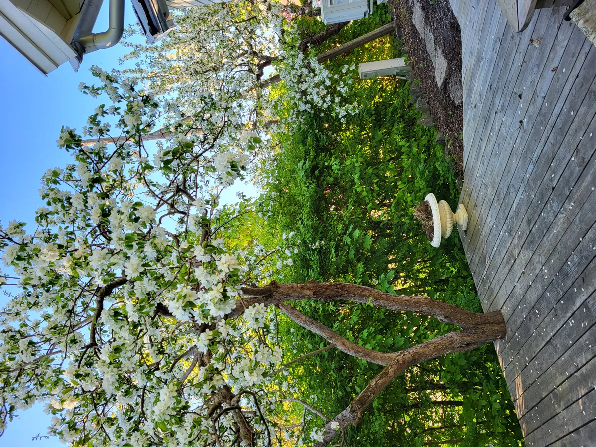 Hyresbostad på Åkersberga i akersberga