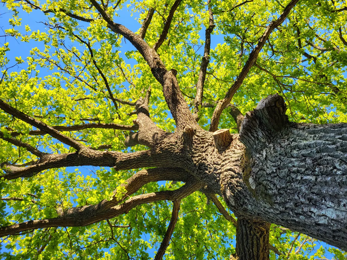 Hyresbostad på Åkersberga i akersberga