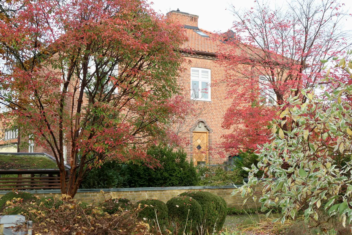 Hyreslägenhet på Lund i lund