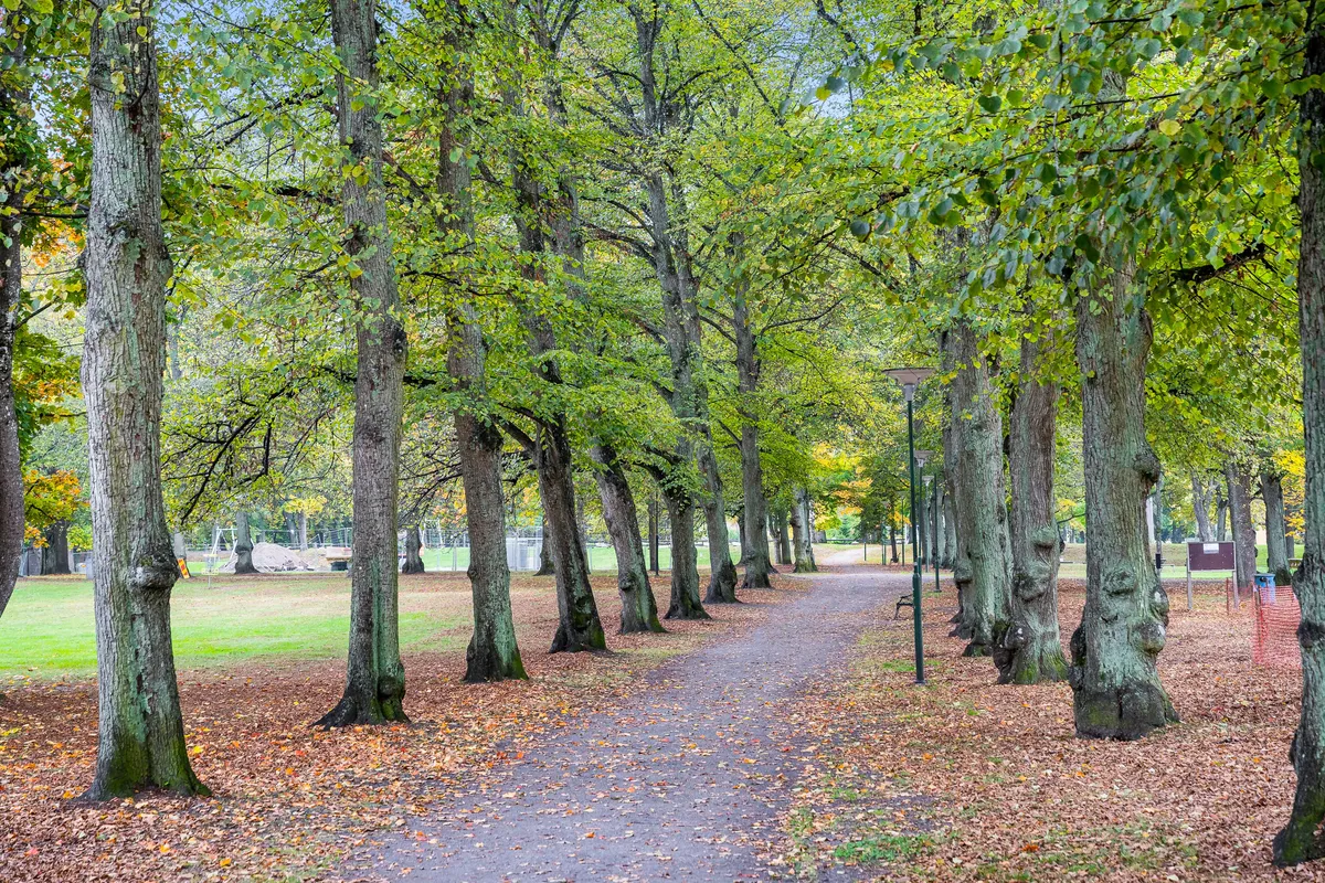 Hyreslägenhet på Norrköping i norrkoping