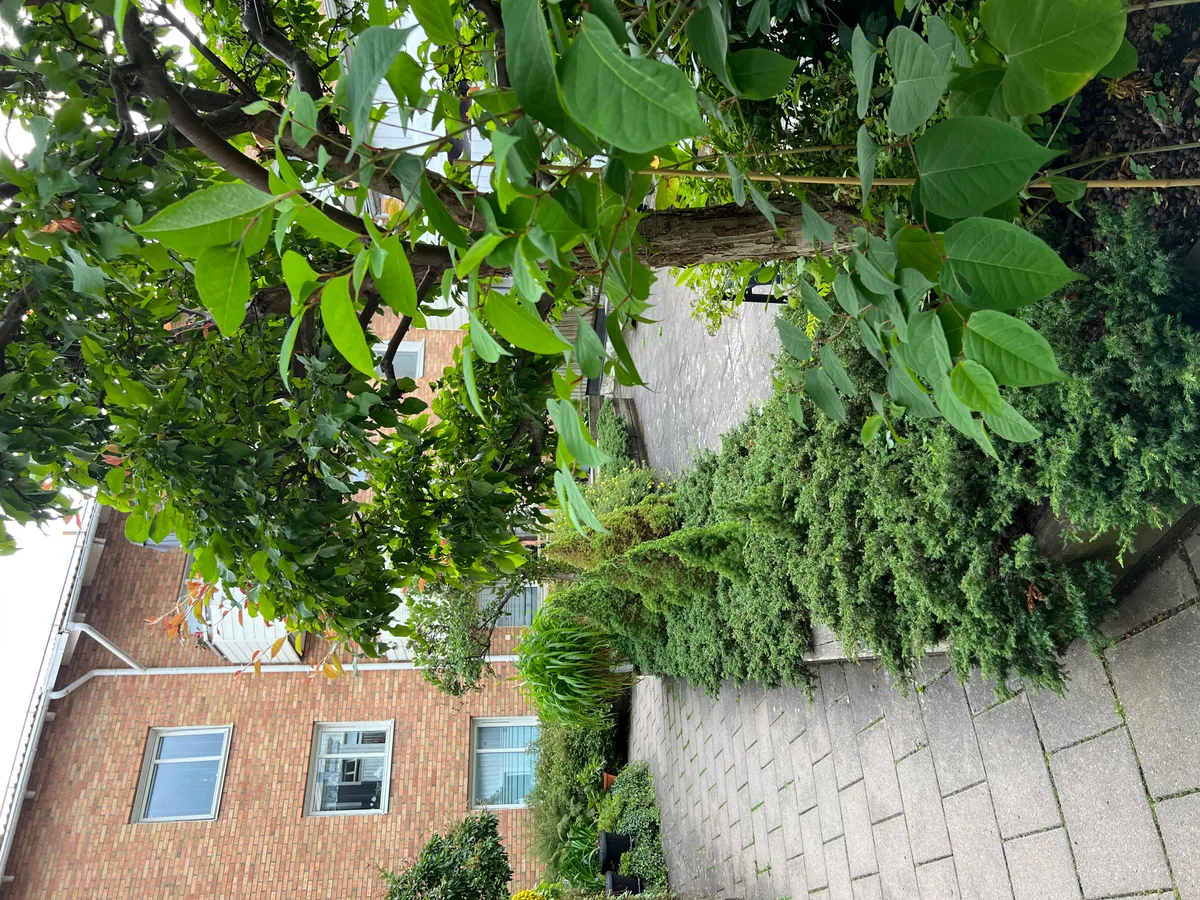 Hyreslägenhet på Tranås i tranas