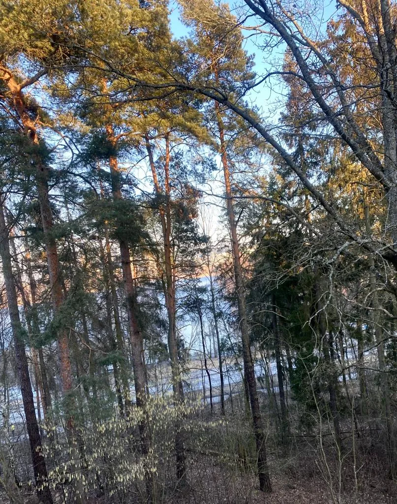 Hyreslägenhet på Sundbyberg i sundbyberg