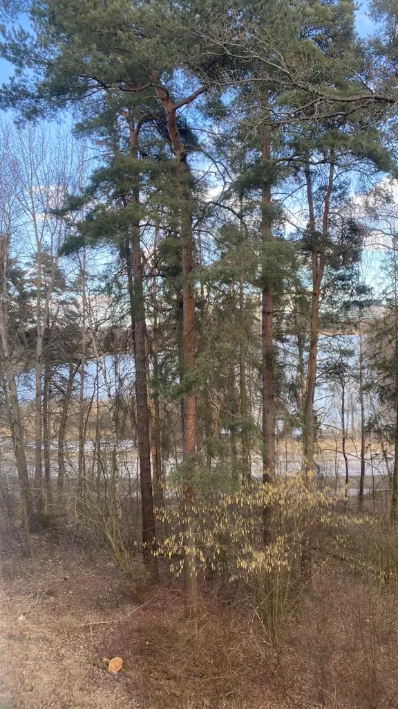 Hyreslägenhet på Sundbyberg i sundbyberg