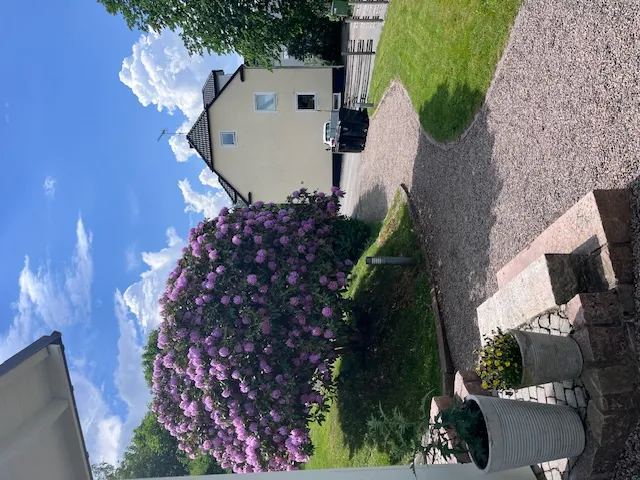 Hyresbostad på Borås i boras