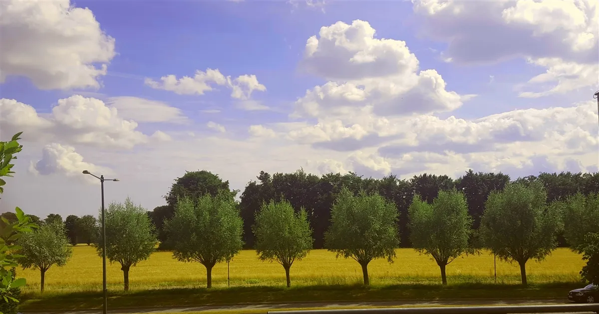 Hyreslägenhet på Bunkeflostrand i bunkeflostrand
