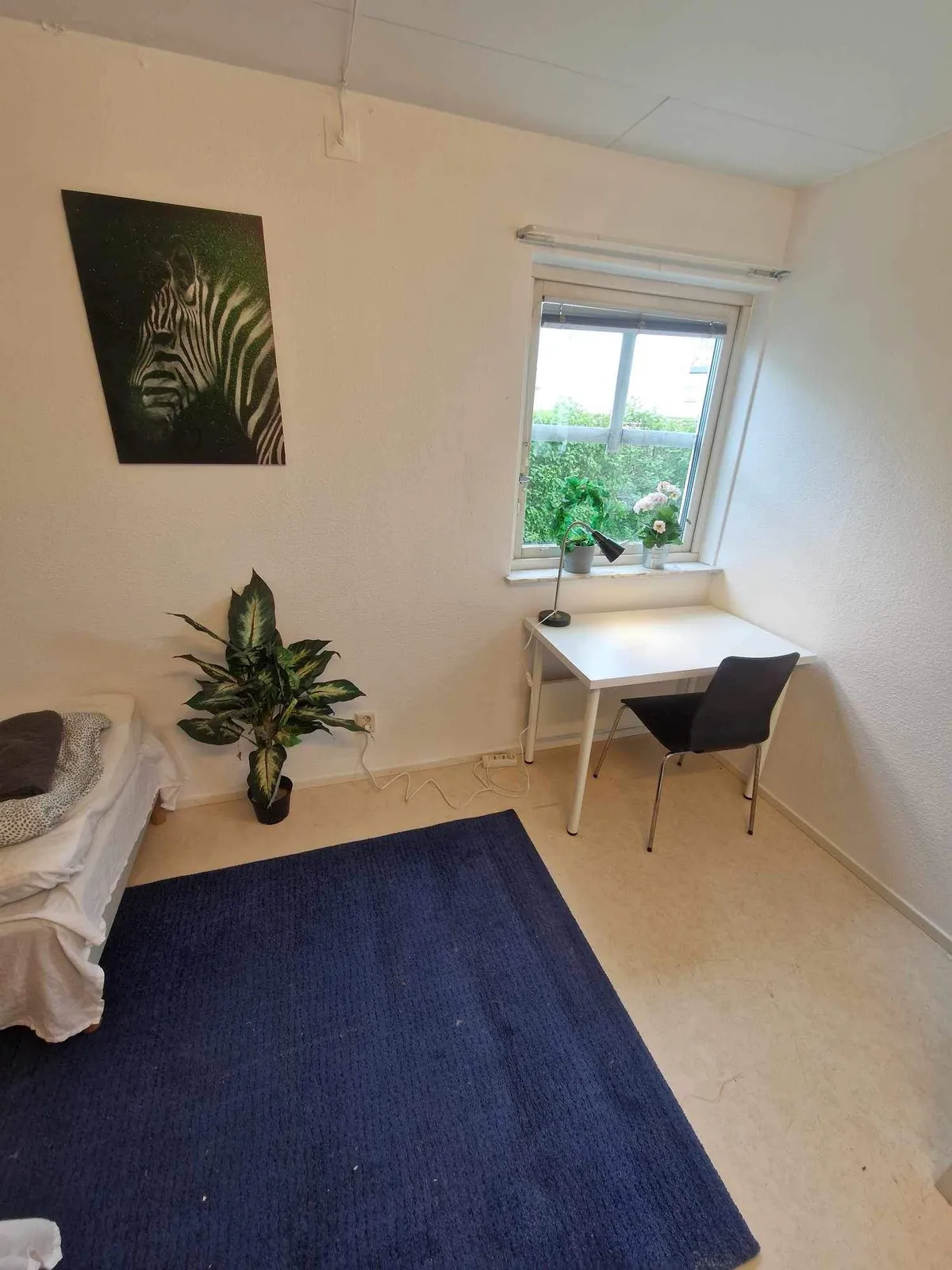 Hyresbostad på Malmö i malmo