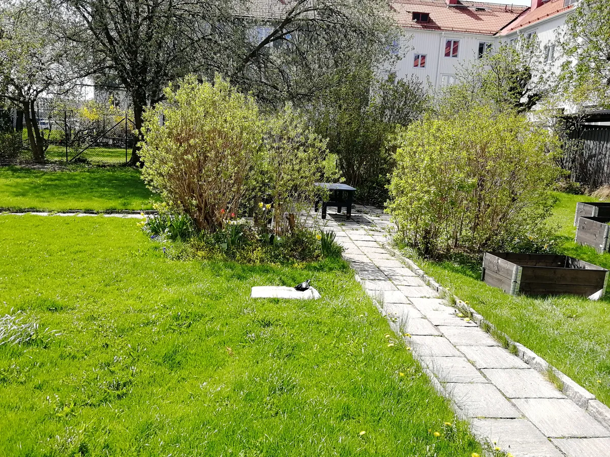 Hyreslägenhet på Göteborg i goteborg