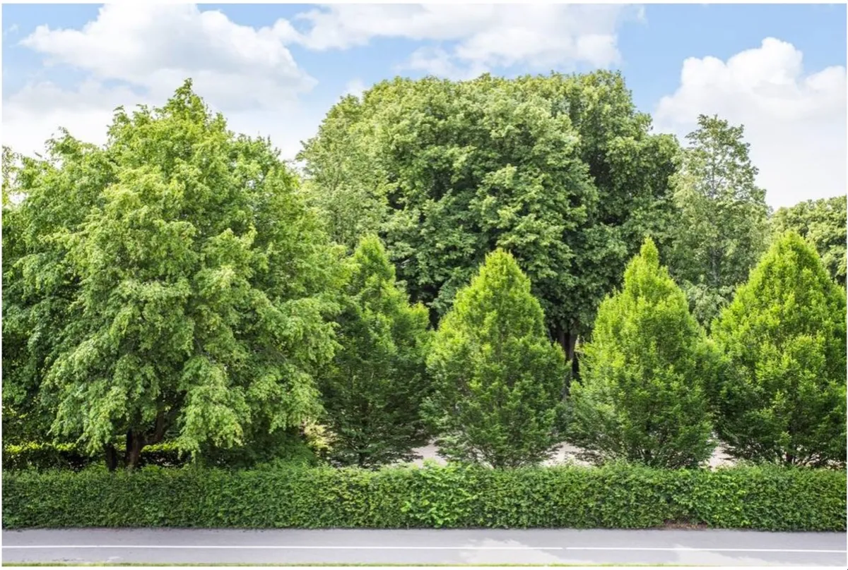 Hyreslägenhet på Lund i lund