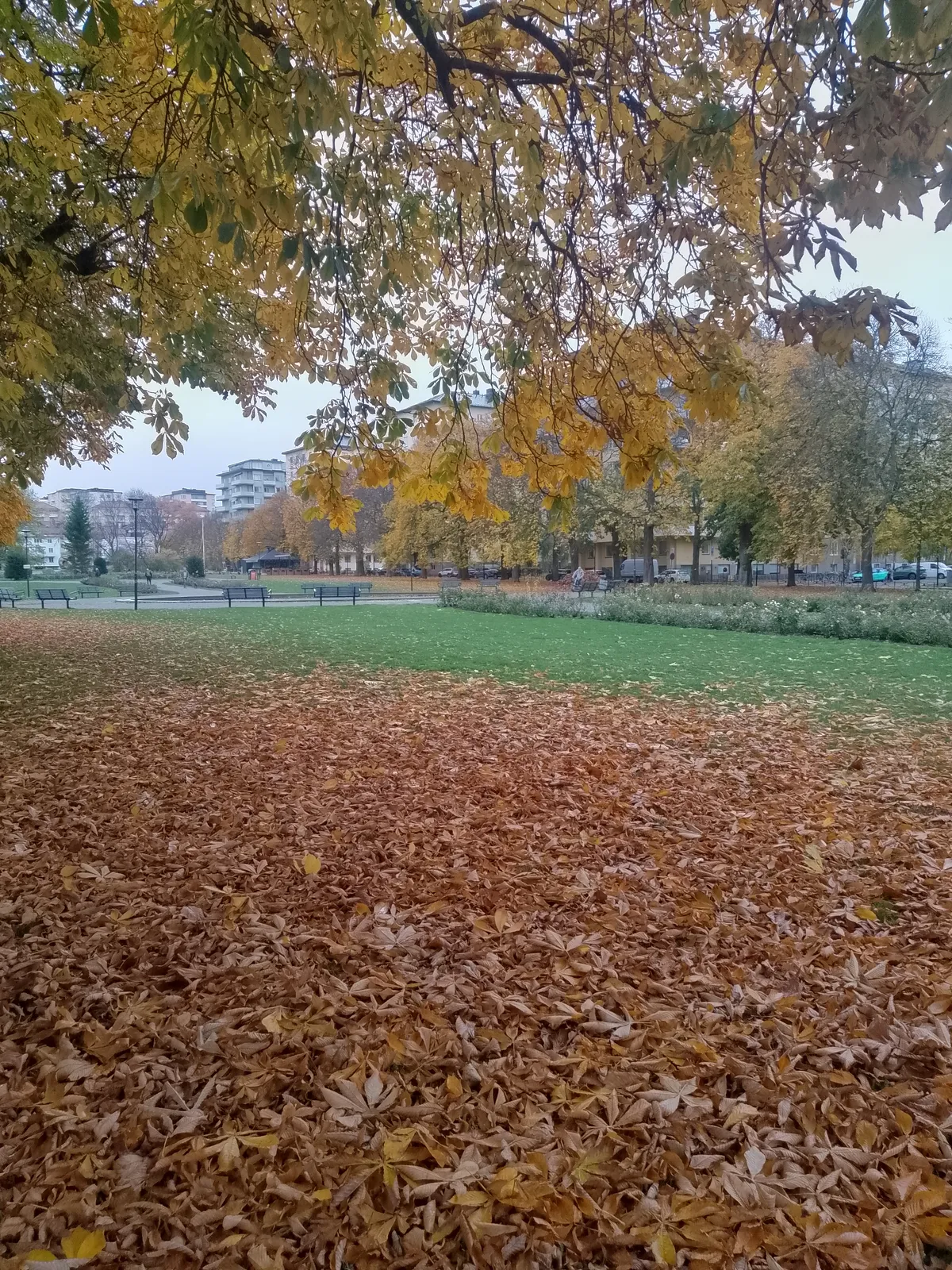 Hyreslägenhet på Stockholm i stockholm