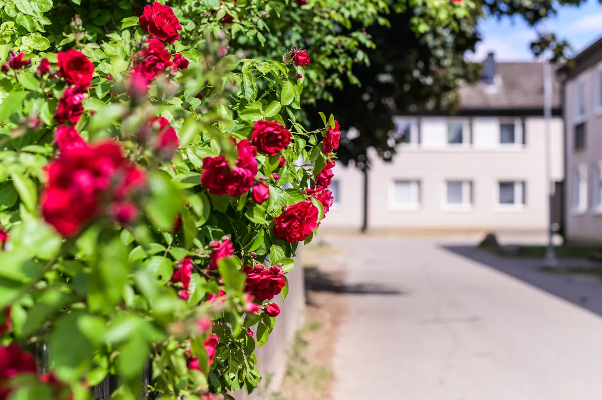 Hyreslägenhet på Linköping i linkoping
