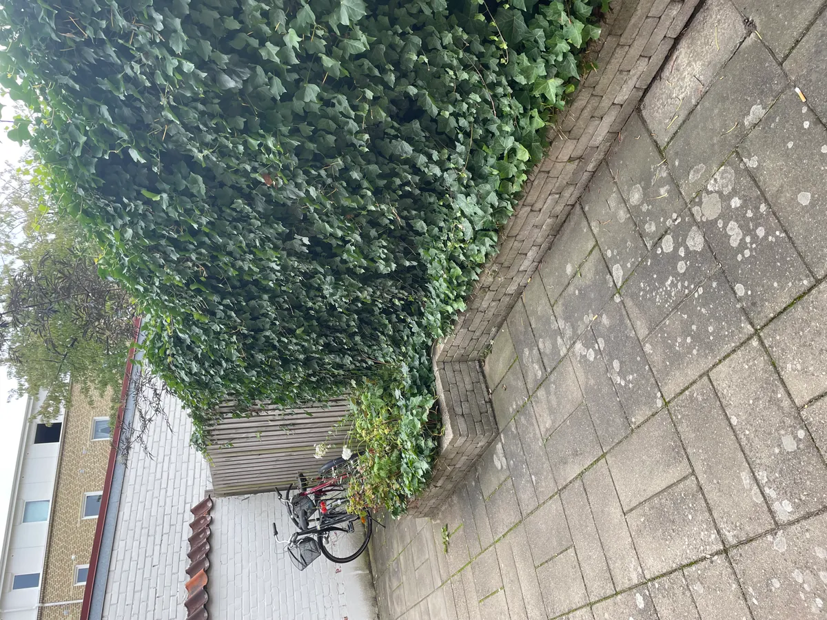 Hyreslägenhet på Trelleborg i trelleborg