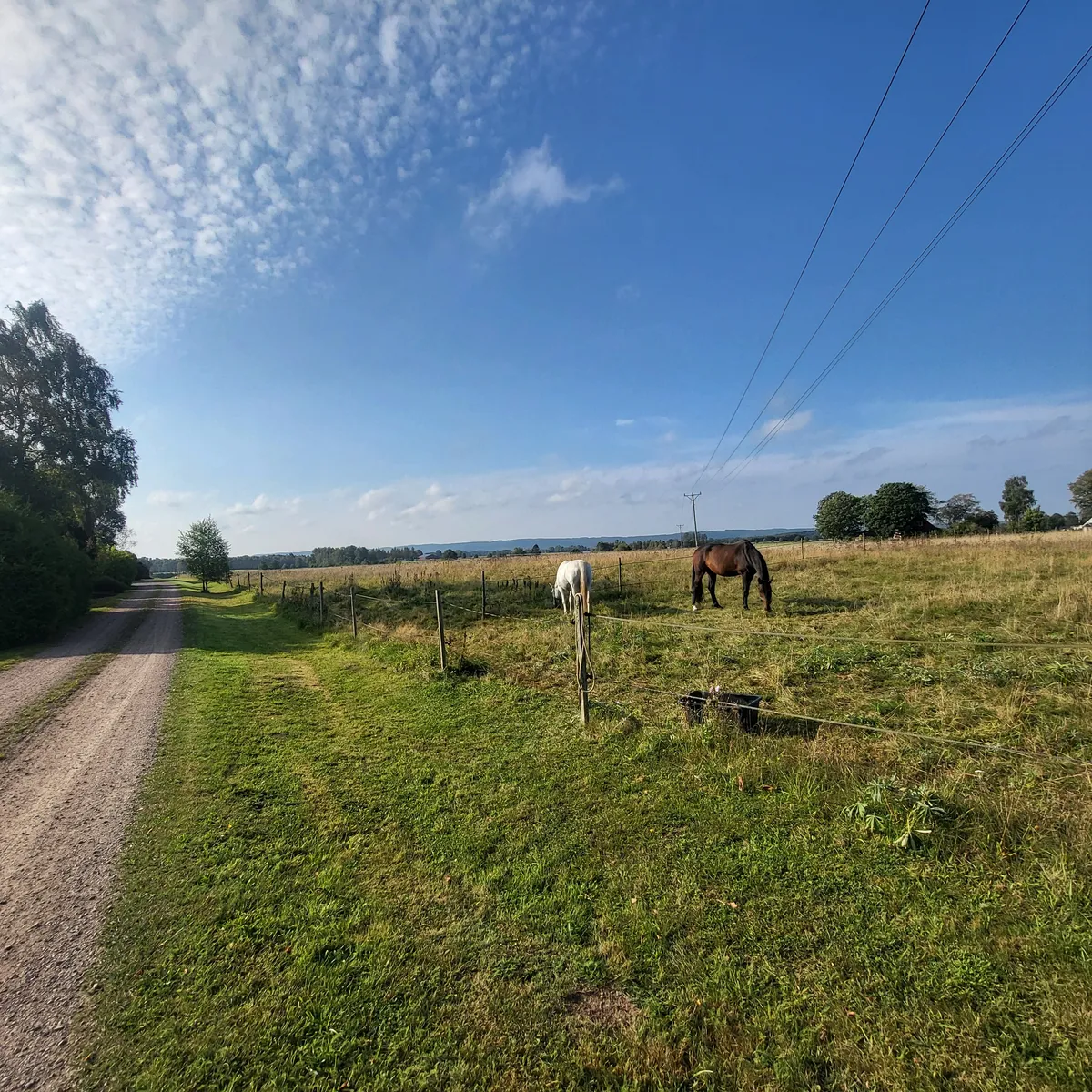 Hyresbostad på Klippan i klippan