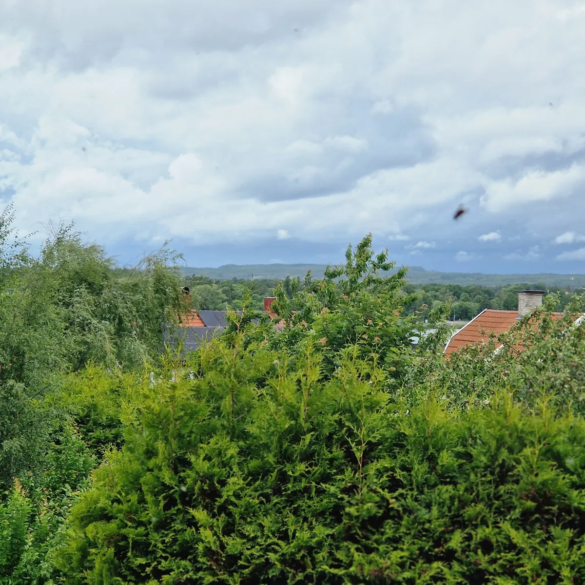 Hyreslägenhet på Motala i motala