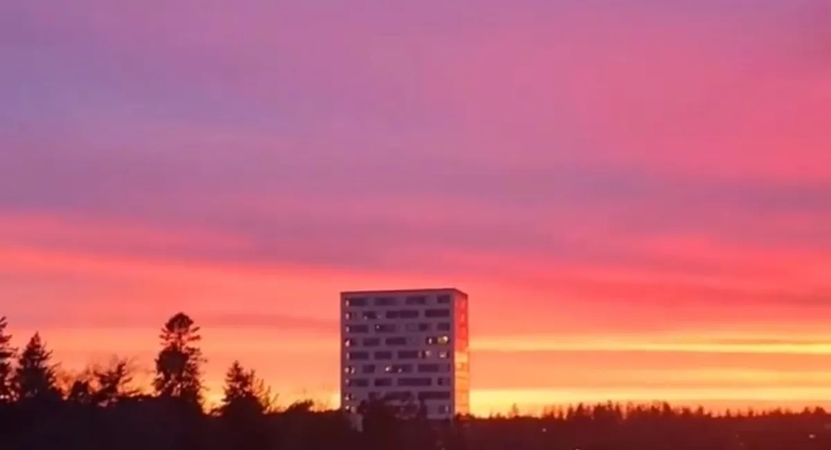 Hyreslägenhet på Bromma i bromma