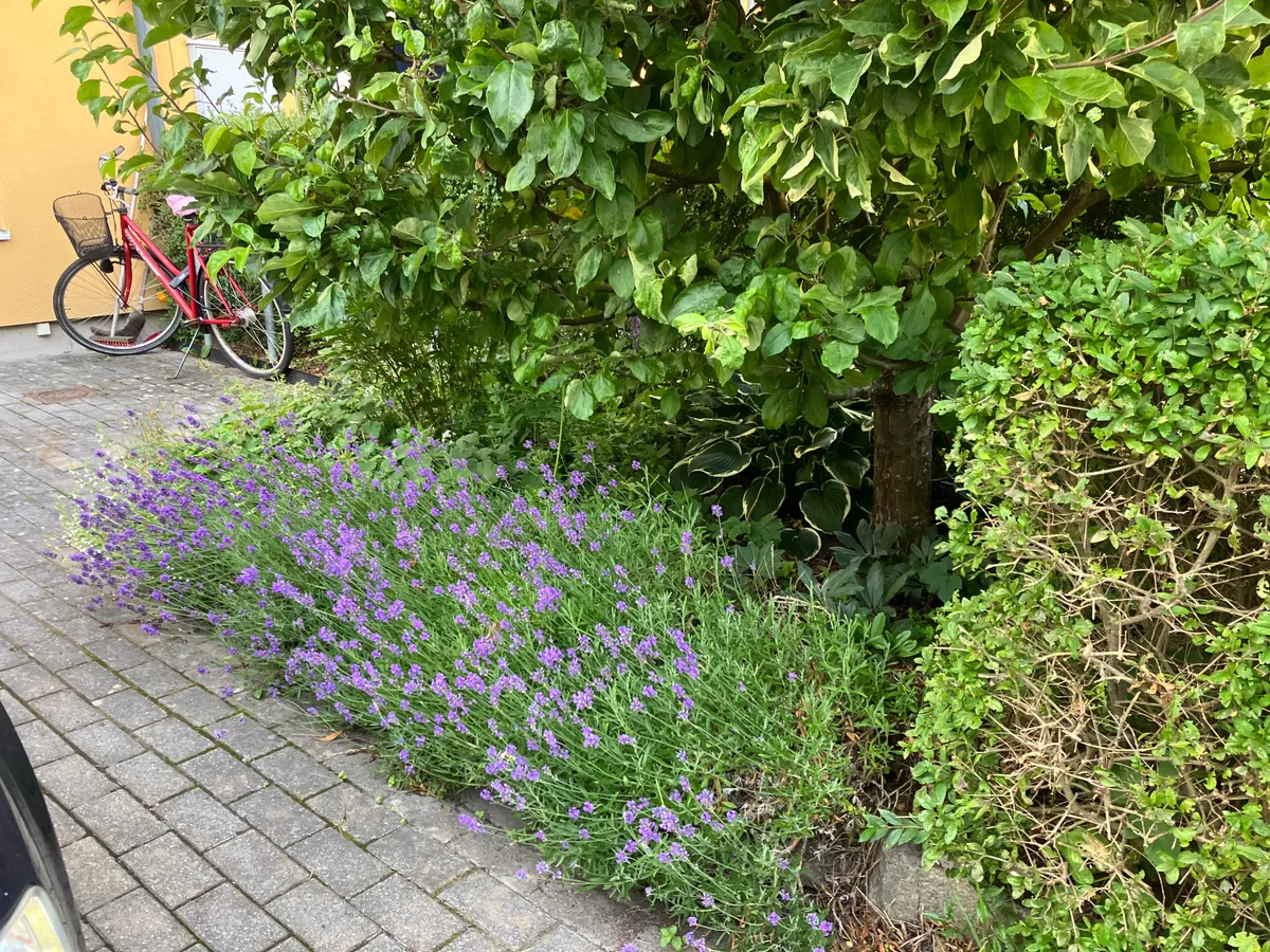 Hyresbostad på Bromma i bromma