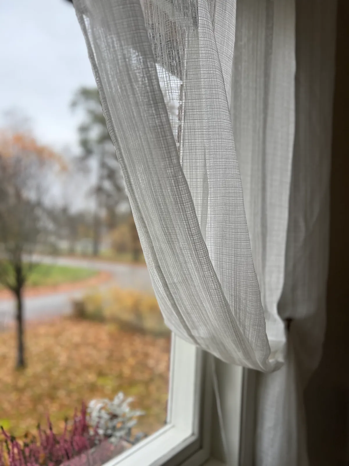 Hyresbostad på Fristad i fristad