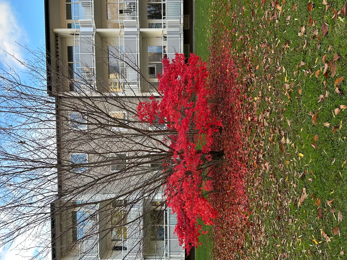 Hyreslägenhet på Järfälla i jarfalla