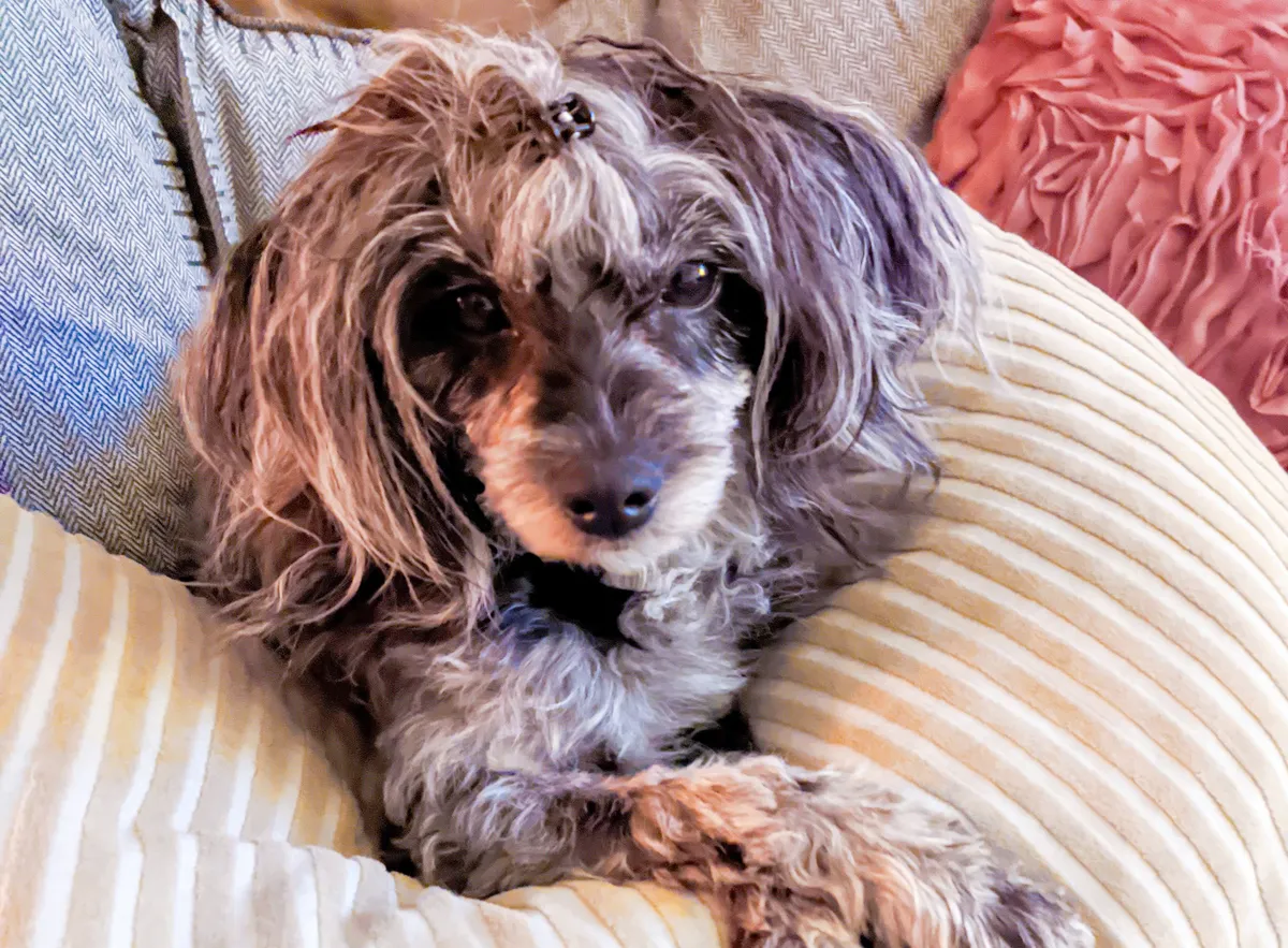 Hyreslägenhet på Bromma i bromma